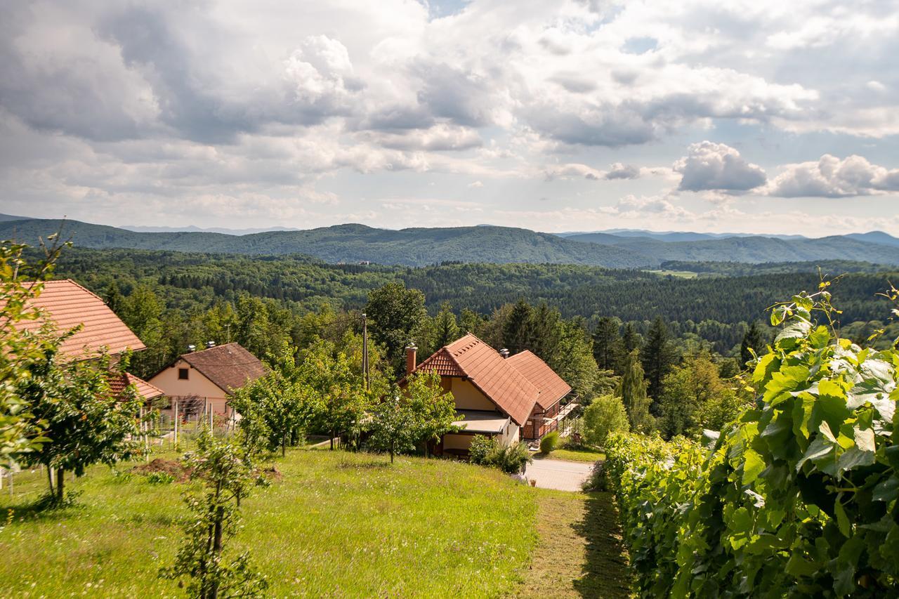 Vineyard Cottage Pod Piramido Dobrnic Екстер'єр фото