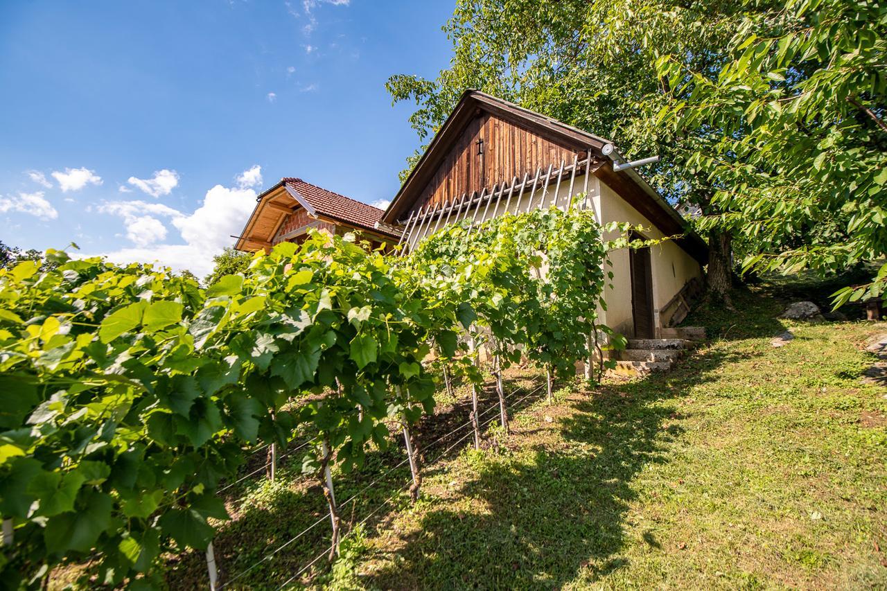 Vineyard Cottage Pod Piramido Dobrnic Екстер'єр фото